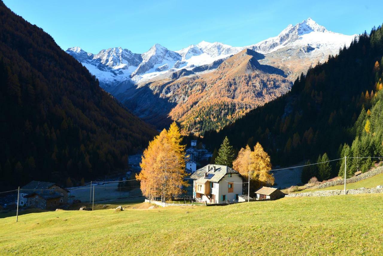 Il Cortese Chiareggio エクステリア 写真